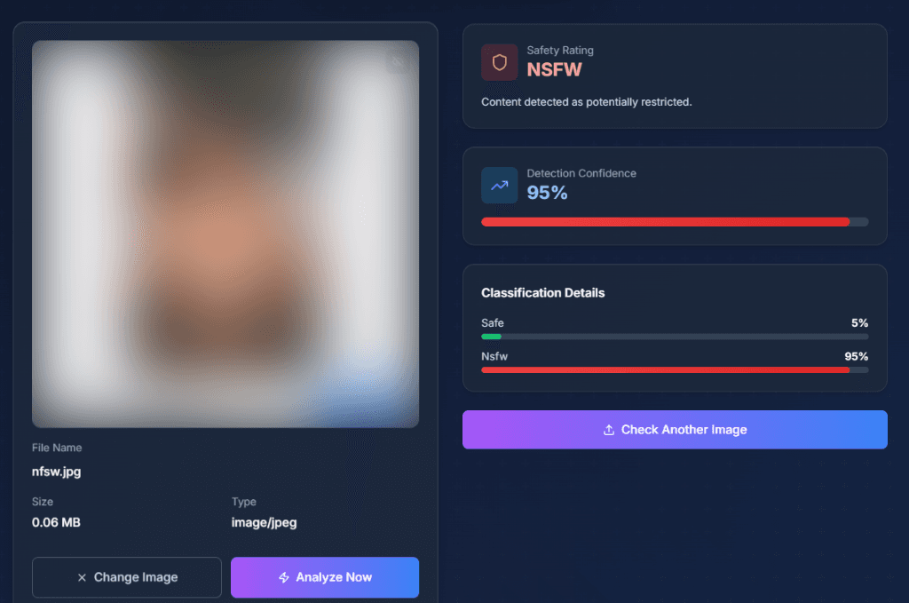 NSFW Detection Proof