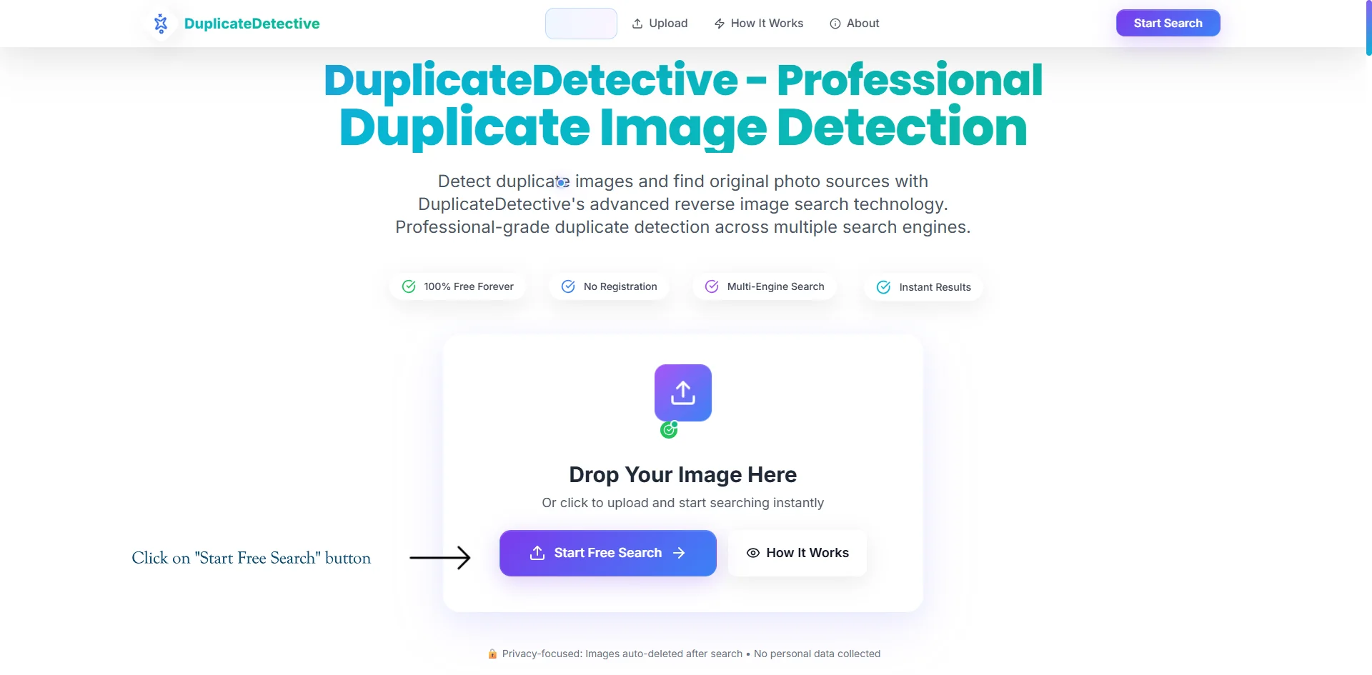Step 1: DuplicateDetective Homepage Interface
