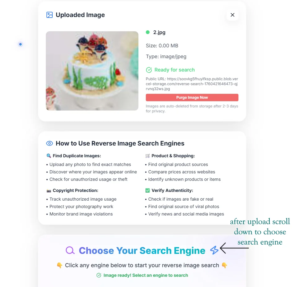 Step 4: AI-Powered Image Analysis Process