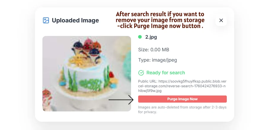 Step 7: Privacy-First Image Purge Feature